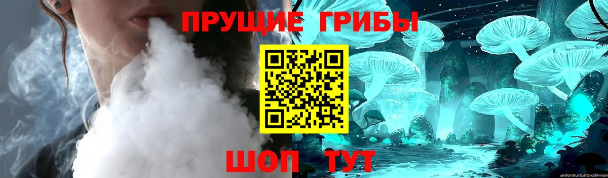 Новоалександровск  Галлюциногенные грибы Psilocybe  Вход с VPN 