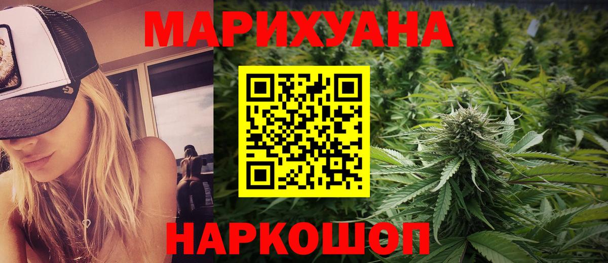 Марихуана планчик  Конопля индика  Вход с VPN  Бошки марихуана семена  Новоалександровск  Шишки марихуана Bruce Banner 